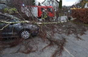 Freiwillige Feuerwehr Lügde: FW Lügde: Technische Hilfe / Baum auf PKW