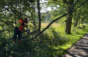 Freiwillige Feuerwehr Aurich: FW-AUR: Baum droht auf Radweg zu fallen