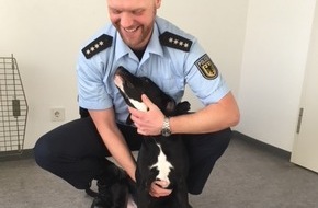 Bundespolizeiinspektion Stuttgart: BPOLI S: Hund in Zugtoilette ausgesetzt