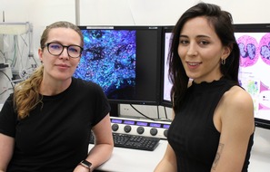 Universitätsklinikum Essen AöR: Krebstherapie: Neutrophile mehr als nur Ersthelfer