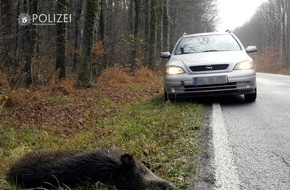 Polizeipräsidium Westpfalz: POL-PPWP: Aktuell viele Wildunfälle