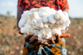 New Study Shows Low Environmental Impact by Cotton made in Africa Organic Cotton from Tanzania