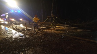 Feuerwehr Heiligenhaus: FW-Heiligenhaus: Baum fiel in der Hofermühle (Meldung 7/2017)