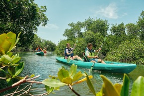 5 Naturparadiese in Fort Myers aktiv erleben – zu Fuß, per Rad und Kajak