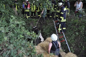 FW-KLE: Aufwendige Tierrettung: Kuh aus Graben gerettet