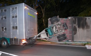 Polizeiinspektion Rotenburg: POL-ROW: ++ Bundesstraße 71 wegen umgekipptem Tiertransporter gesperrt ++ Auto kracht gegen Verkehrszeichen - Fahrer verletzt ++ Fahranfänger missachtet Vorfahrt ++