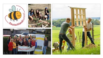 Stiftung für Mensch und Umwelt: Bienenschutzinitiative Deutschland summt! bietet ab 2024 Club-Mitgliedschaft an
