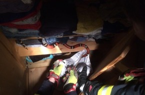 Freiwillige Feuerwehr Lage: FW Lage: Ungewöhnlicher Einsatz - Feuerwehr sichert Schlange in einer Wohnung!