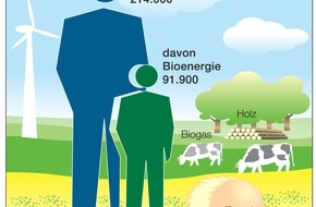FNR Fachagentur Nachwachsende Rohstoffe: Wirtschaftsfaktor Bioenergie