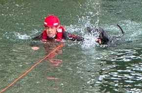 Feuerwehr M&uuml;nchen: FW-M: Vier Pfoten auf Abwegen - Feuerwehr rettet Hund aus Isar (Oberf&ouml;hring)