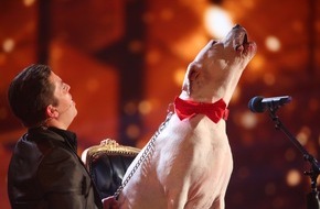 SAT.1: Wau! Die Dogge Lady Xena singt Whitney Houstons "I Will Always Love You" in der SAT.1-Show "Superpets" am Freitag