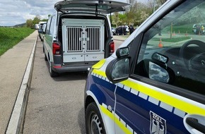 Hauptzollamt Singen: HZA-SI: Erfolgreiche Kontrollen/ZOLL stellt bei Kontrolle an der A 81 zahlreiche Verstöße fest