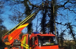 Freiwillige Feuerwehr Werne: FW-WRN: TH_1 - LZ3 - DLK - großer Ast droht aus einem Baum auf einen Gehweg zu stürzen