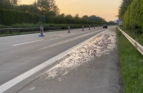 Polizeiinspektion Cuxhaven: POL-CUX: Sattelzug verliert Ladung (Fischabfälle) auf der BAB - Fahrbahn muss lange gesperrt und aufwändig gereignet werden (Lichtbilder in der Anlage)