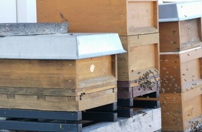 Polizeipräsidium Mainz: POL-PPMZ: Mainz-Hechtsheim: Diebstahl aus Bienenbeuten