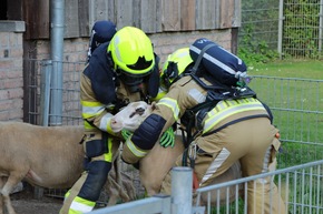 FW-KLE: "Grenzenloses Wasser" - Deutsch-niederl&auml;ndische Feuerwehr&uuml;bung im Tiergarten Kleve st&auml;rkt Zusammenarbeit &uuml;ber L&auml;ndergrenzen hinweg