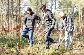 Bergwaldprojekt e.V.: PRESSEMITTEILUNG: Gemeinsam im Einsatz für einen stabilen Inselwald - das Bergwaldprojekt e.V. mit über 70 Freiwilligen auf Amrum