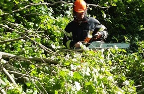 Feuerwehr Schermbeck: FW-Schermbeck: Baum auf Fahrbahn (Dorstener Straße/ B 58)