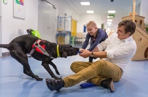 Universität Duisburg-Essen: Therapiehund am Krankenbett: Hannibal und Flip ergänzen die Krebstherapie