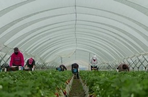 Glanzleistungen in der Pandemie: "CuTE-4You" sagt den europäischen Landwirten und Produzenten Danke