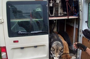 Bundespolizeiinspektion Flensburg: BPOL-FL: Bundespolizei stoppt Hundetransporter auf der A7, 19 Huskys in Verwahrung, Haftbefehl vollstreckt