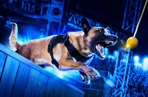Crime + Investigation (CI): Starker Einsatz auf vier Pfoten: Neue Wettkampf-Show für Hunde auf Crime + Investigation