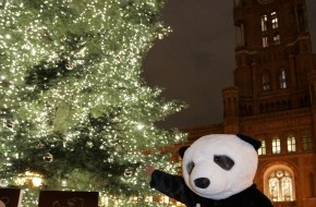 LichtBlick SE: Weihnachtlicher LichtBlick mit 24.000 Lichtern vor dem Roten Rathaus in Berlin / Umweltorganisation WWF und Ökostromanbieter LichtBlick errichten den ökologischsten Weihnachtsbaum Deutschlands