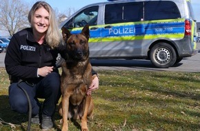 Polizeipräsidium Osthessen: POL-OH: Ab heute: Polizei hautnah - Exklusive Einblicke in die Ausbildung zum Sprengstoffspürhund