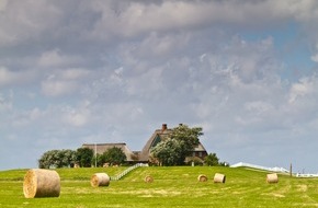 Nationalpark Schleswig-Holsteinisches Wattenmeer: Geburtstag im Wattenmeer