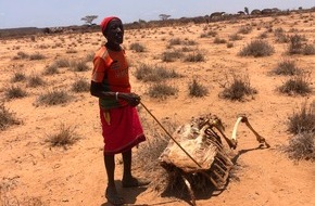 Malteser in Deutschland: Kenia: Mehr als zwei Millionen Menschen von Dürre betroffen / Malteser und Johanniter helfen Bevölkerung in ländlichen Regionen