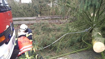 FW-WRN: Sturmlage &quot;Friederike&quot; verlief glimpflich