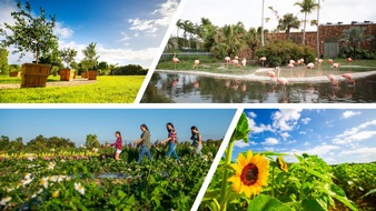 Greater Miami and the Beaches: Miami feiert seine Landwirtschaft mit Angeboten  und Erlebnissen im November