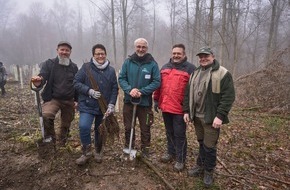 Edeka Südwest: Presse-Information: Bodersweierer Wald wird für Zukunft gerüstet