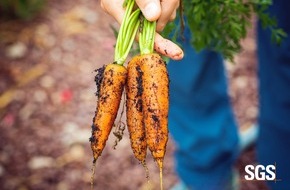 SGS Germany GmbH: SGS erh&auml;lt Zulassung als &Ouml;ko-Kontrollstelle f&uuml;r Lebensmittel- & Futtermittelverarbeitung