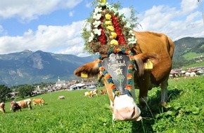 ALPBACHTAL SEENLAND Tourismus: Buntes Festtreiben beim Reither Almabtrieb - BILD