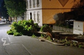 Feuerwehr Wetter (Ruhr): FW-EN: Wetter - Sattelauflieger bringt Baum zu fallen
