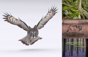 Greenpeace e.V.: Veranstaltungshinweis und Einladung - Greenpeace zeigt: Europas wilde Wälder/Eine live Multivisionsshow von Markus Mauthe (mit Bild)