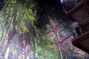 Pressemitteilung: Echte Gef&uuml;hle und gro&szlig;e Kunst