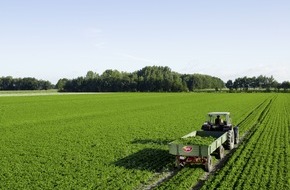 iglo Deutschland: Regionalität im Trend / Hauptsache frisch: Bei Gemüse setzt iglo auf regionalen Anbau