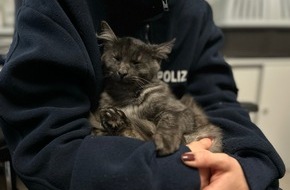 Polizeiinspektion Oppenheim: POL-PIOPP: Schnupperpraktikant/in "Helge" fahndet nach seinem Besitzer