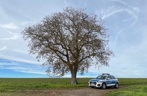 Polizeidirektion Neustadt/Weinstra&szlig;e: POL-PDNW: Versuchter Einbruch