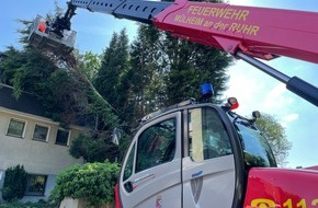 Feuerwehr Mülheim an der Ruhr: FW-MH: Baum stürzte auf Wohnhaus
