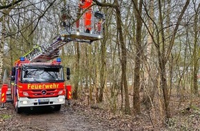 Feuerwehr Gelsenkirchen: FW-GE: Bilanz Sturmtief Zeynep / Arbeitsreiche Nacht für die Kräfte der Feuerwehr Gelsenkirchen - rund 140 sturmbedingte Einsätze bis Samstagmittag