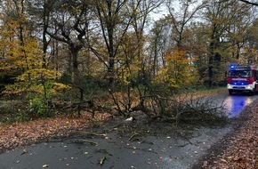 Feuerwehr Schermbeck: FW-Schermbeck: Baum auf Fahrbahn