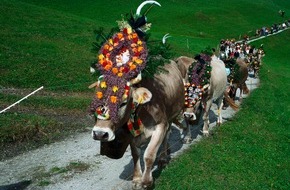 Hotel Klausnerhof: Hintertuxer Oktoberfest: Der schönste Almabtrieb in Tirol - BILD