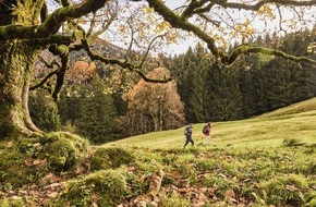 Allg&auml;u GmbH: Einfach loswandern: Einladung Medienreise vom 15.-18.10.2026