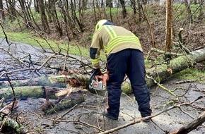 Freiwillige Feuerwehr Alpen: FW Alpen: Ast ragte auf Gehweg