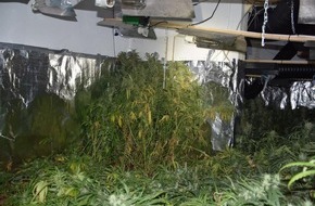 Polizei Wuppertal: POL-W: W - Gemeinsame Presseerklärung der Staatsanwaltschaft und der Polizei: Weitere Schläge gegen den illegalen Anbau von Marihuanapflanzen