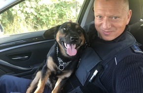 Bundespolizeiinspektion Bad Bentheim: BPOL-BadBentheim: Bundespolizei bringt Hund und Besitzer wieder zusammen