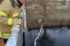 Feuerwehr Hannover: FW Hannover: Ausgetretenes &Ouml;l auf der Leine - Feuerwehr verhindert Ausbreitung